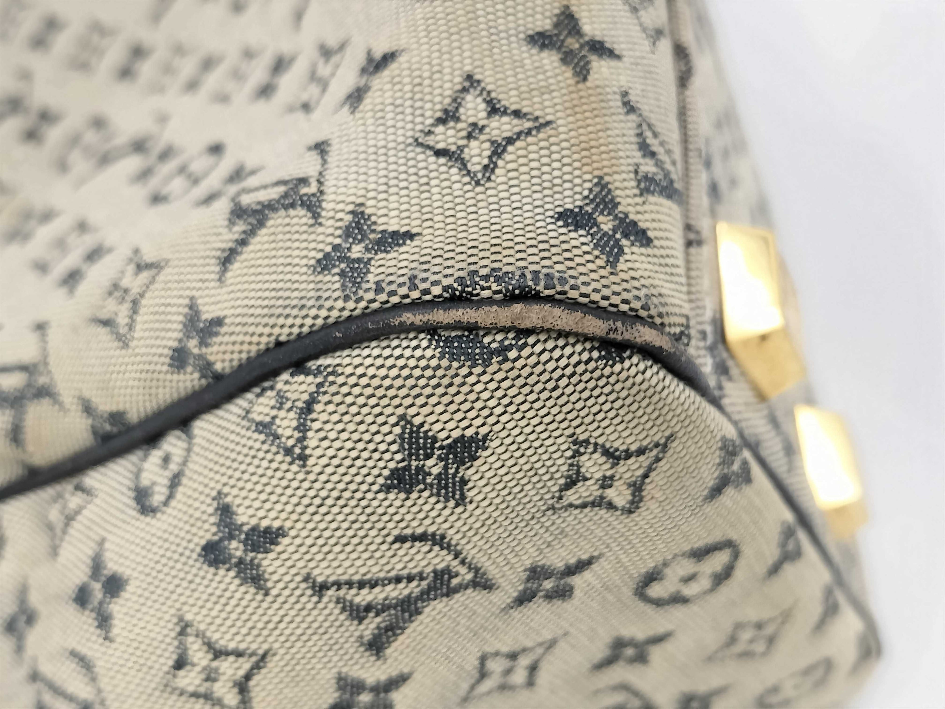 Louis Vuitton Monogram Mini Josephine PM Handbag