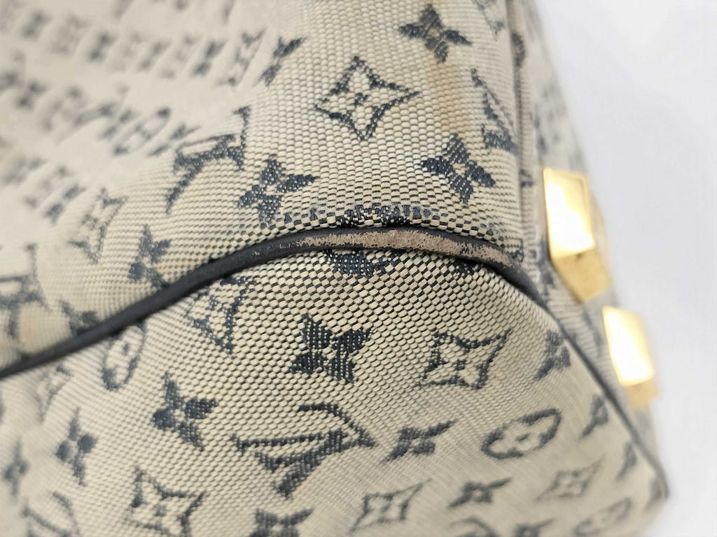 Louis Vuitton Monogram Mini Josephine PM Handbag